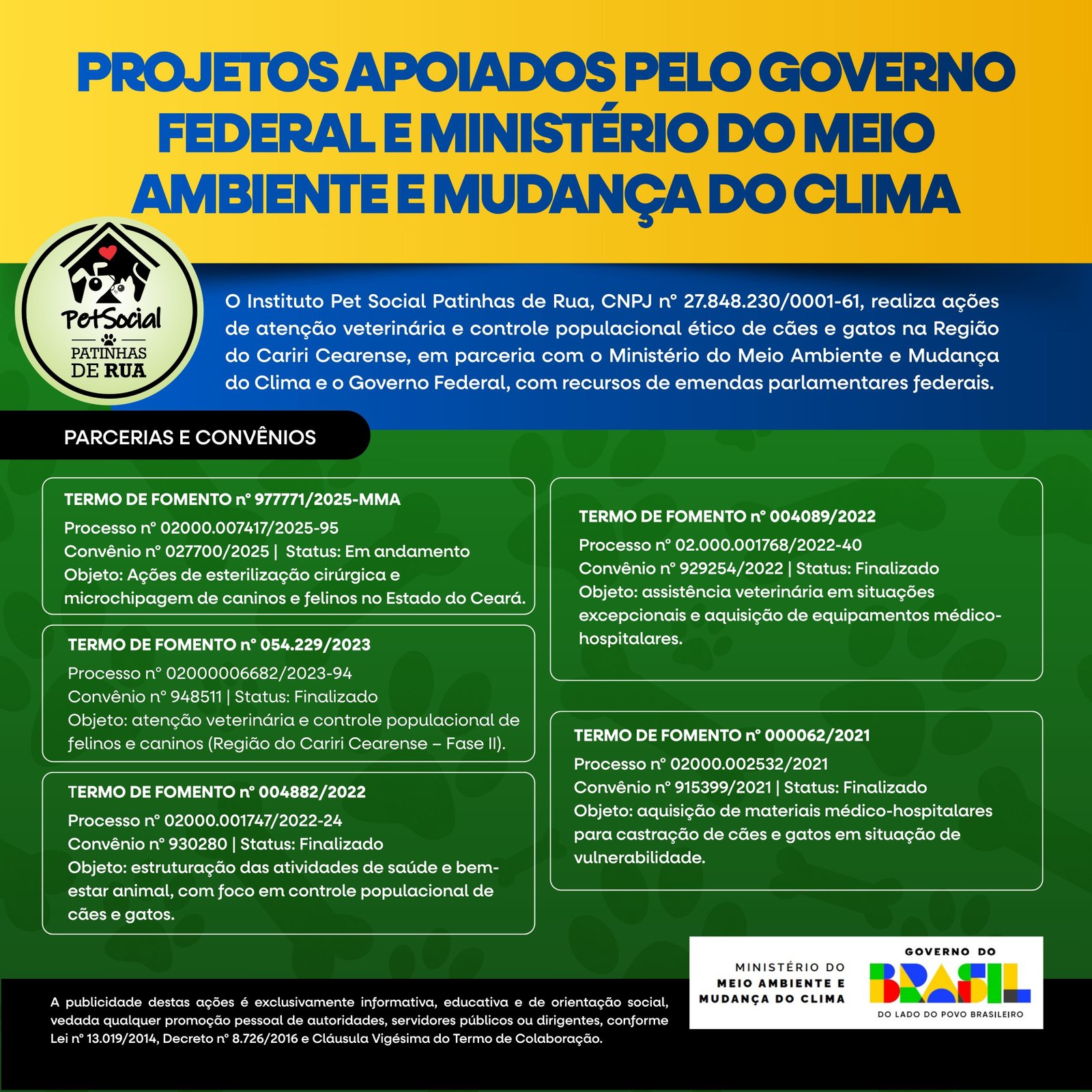 Relatório de Transparência - Pet Social Patinhas de Rua